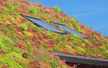 Longridge End living roof systems