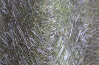 Longridge End fibreglass roof work